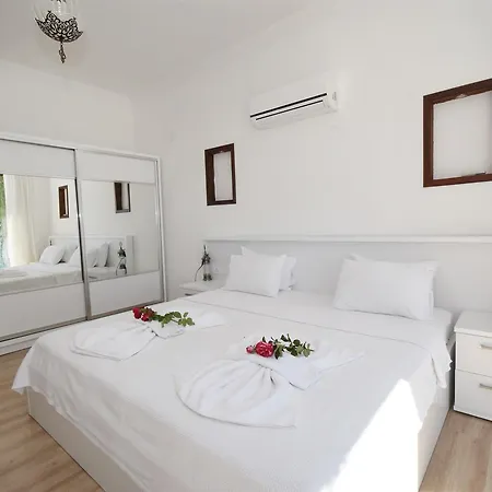 Villa Buyuk Asma Islamlar *